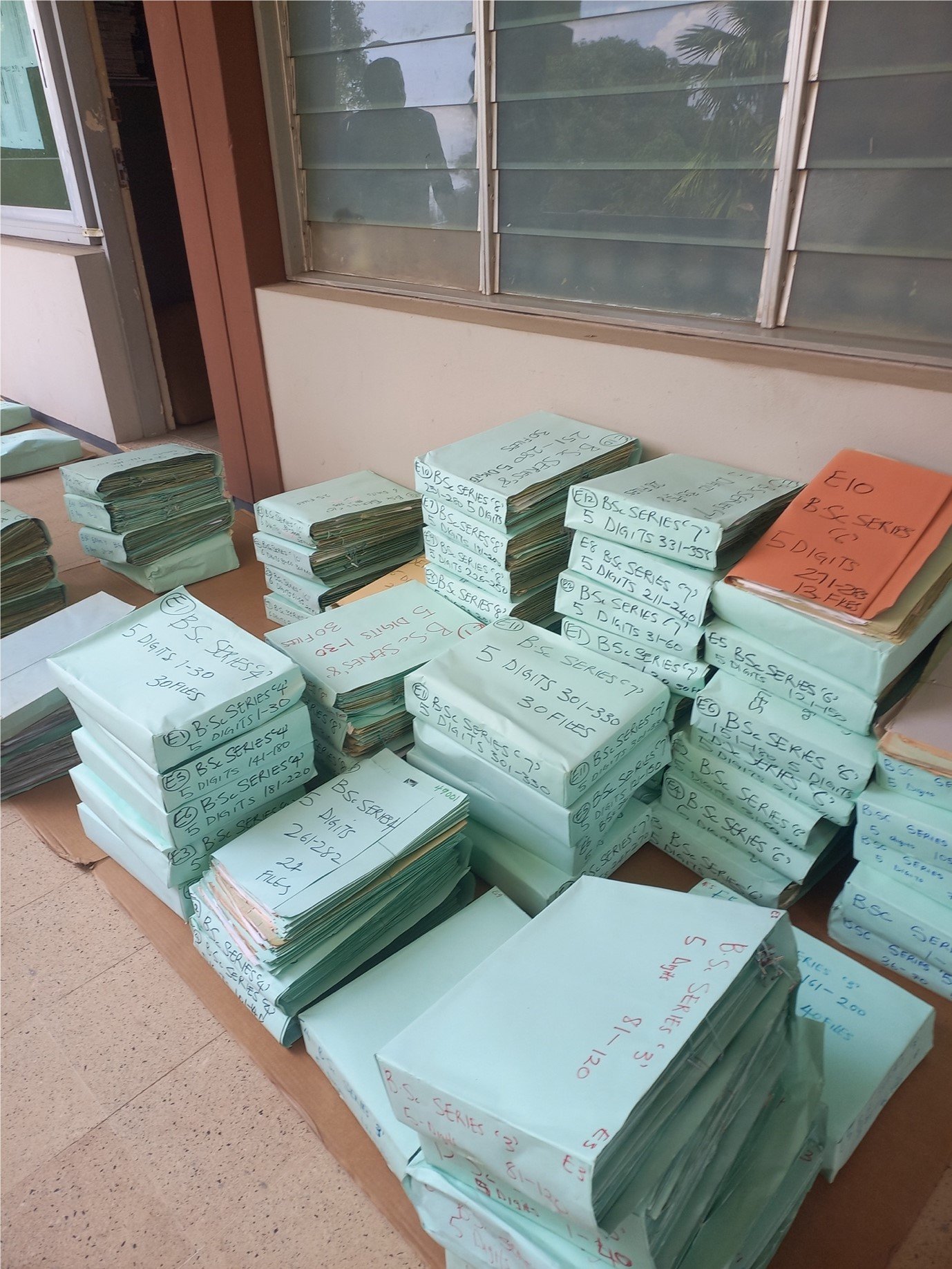 Working on the Raw Files